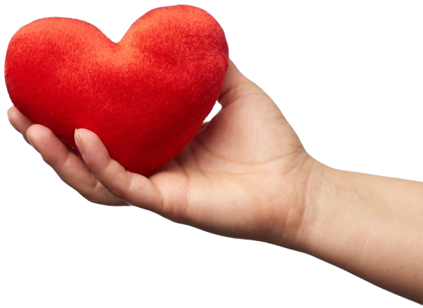 female-hand-holds-red-textile-heart-white-backgrou-3DRAPZU-1.png